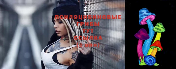 прущий лед Балахна