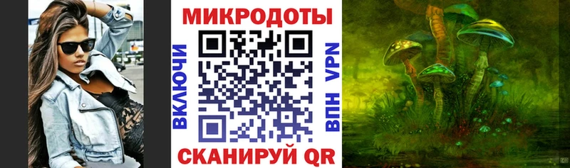 Галлюциногенные грибы Psilocybe Поворино